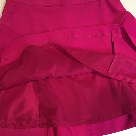 Express Pink lined Skirt - Picture 2 of 7